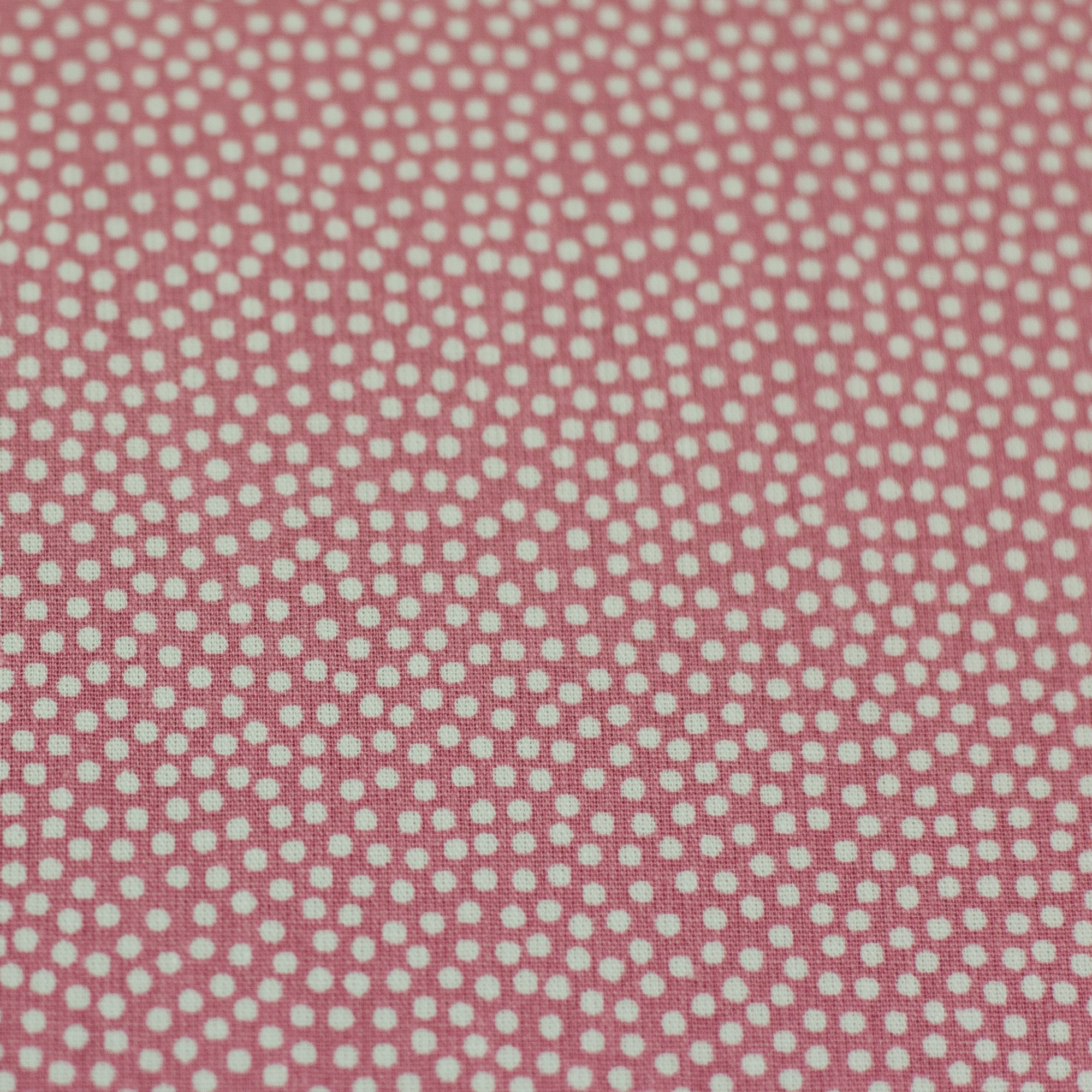 Dotty Dots - dusky pink