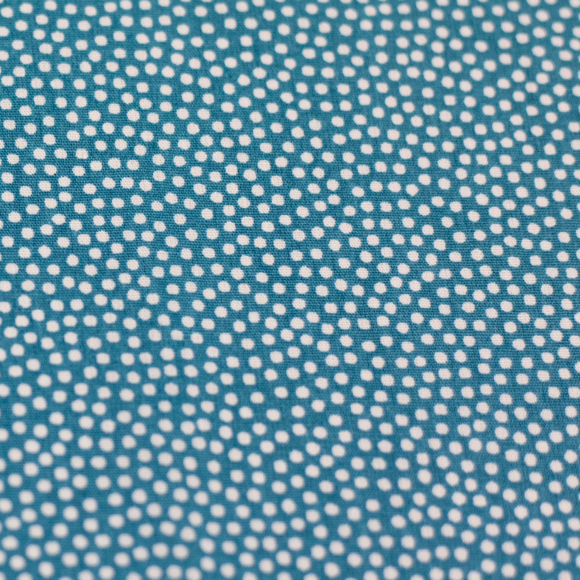 Dotty Dots - petrol-white