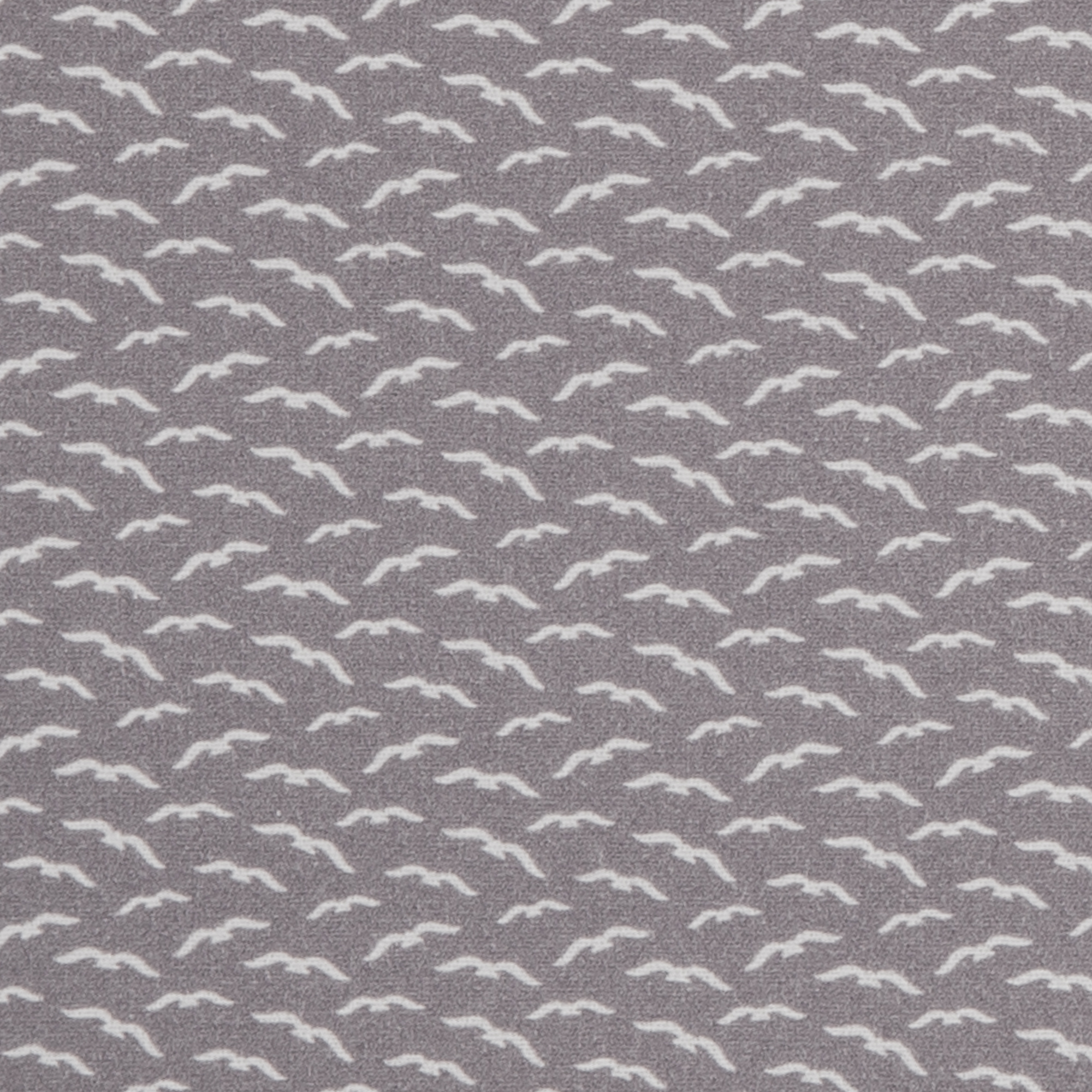Maritime - Seagulls - gray-white