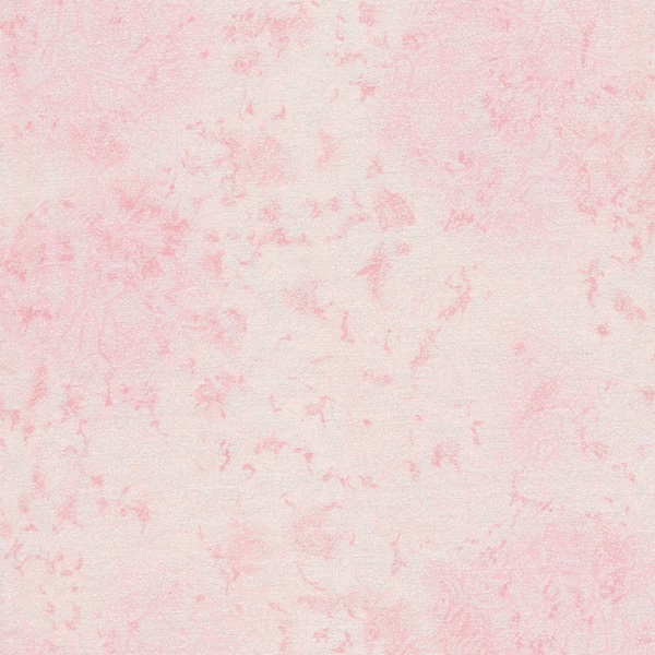 Fairy Frost - cameo