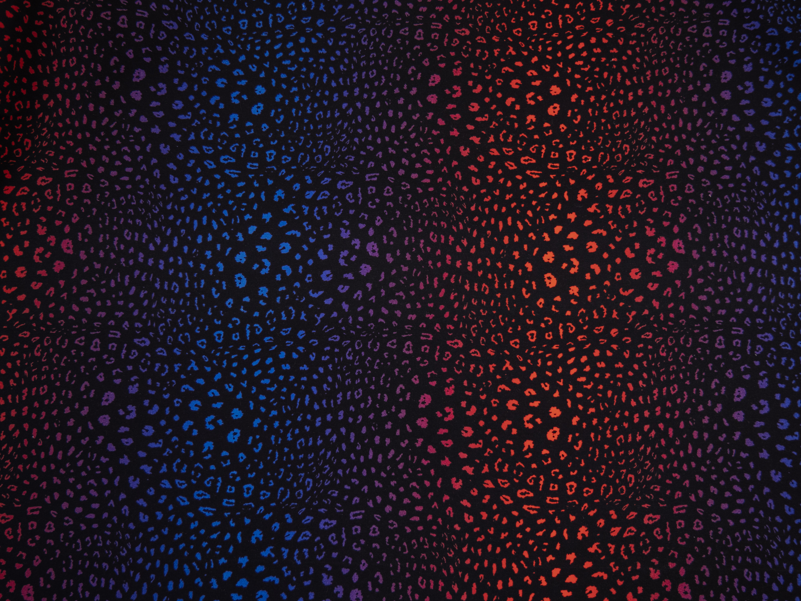 French Terry - Leopard - black multi