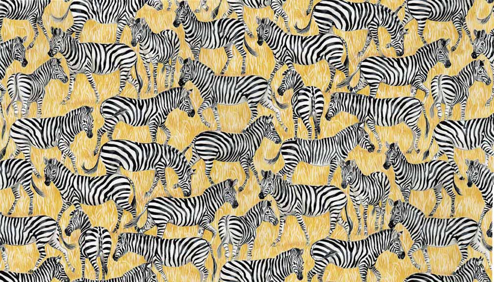 Safari - Zebra´s