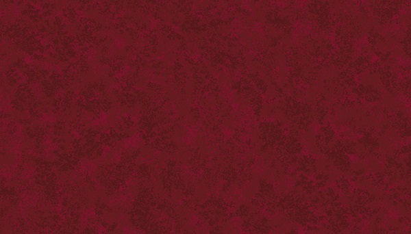 Spraytime Basic Collection - cranberry