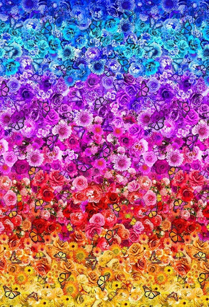 Rainbow Butterflies - multi