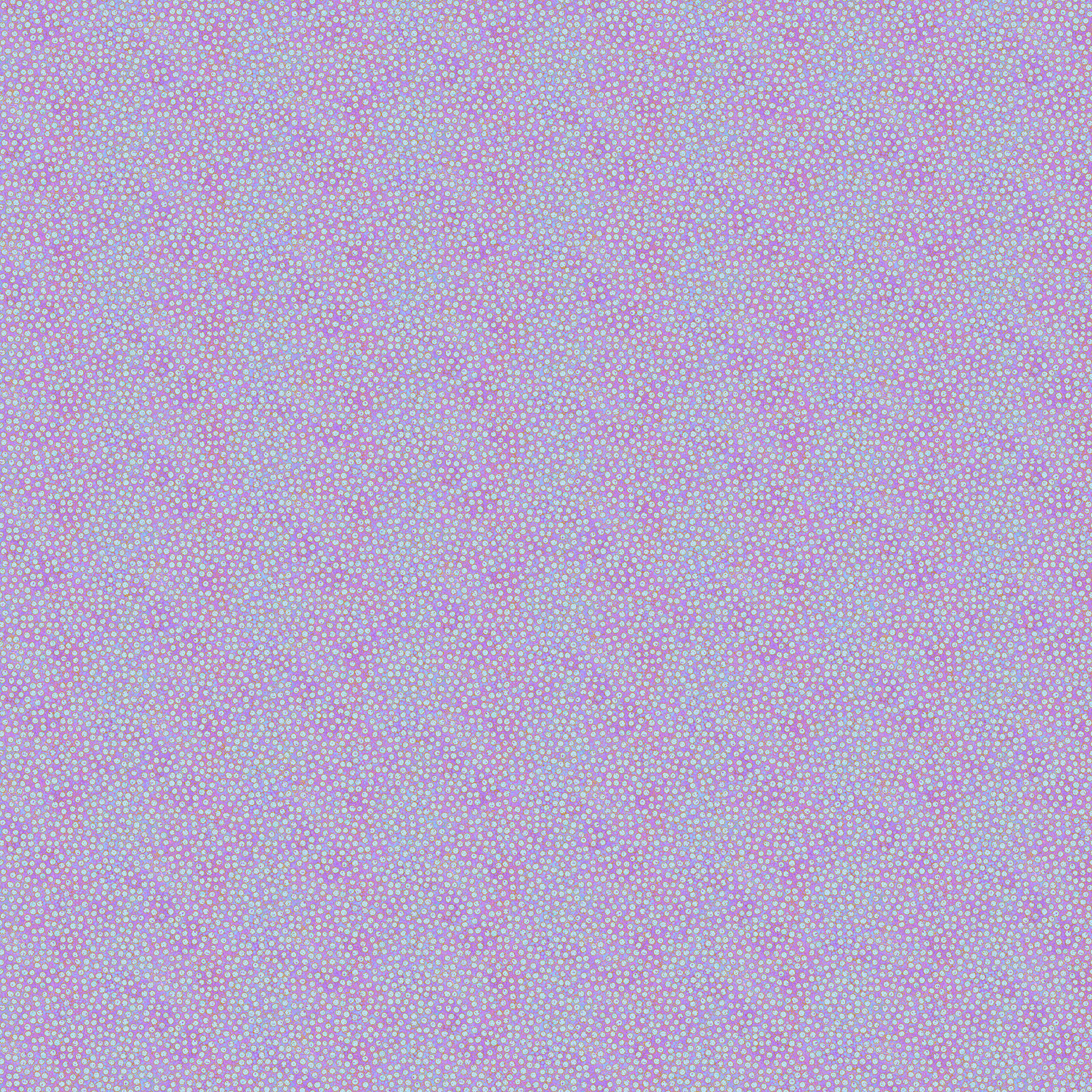 Shimmer - Pansy - Tiny Dots