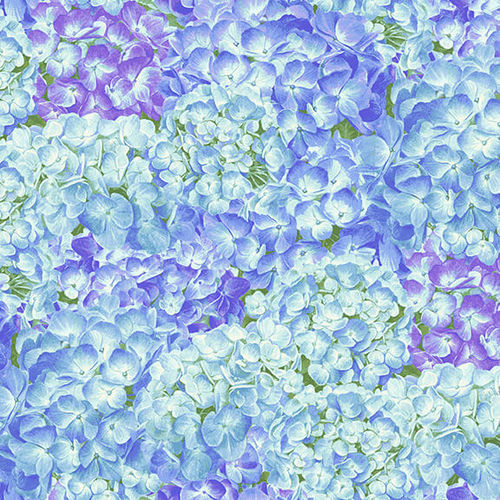 Hydrangea Birdsong - Packed Hydrangea - blue