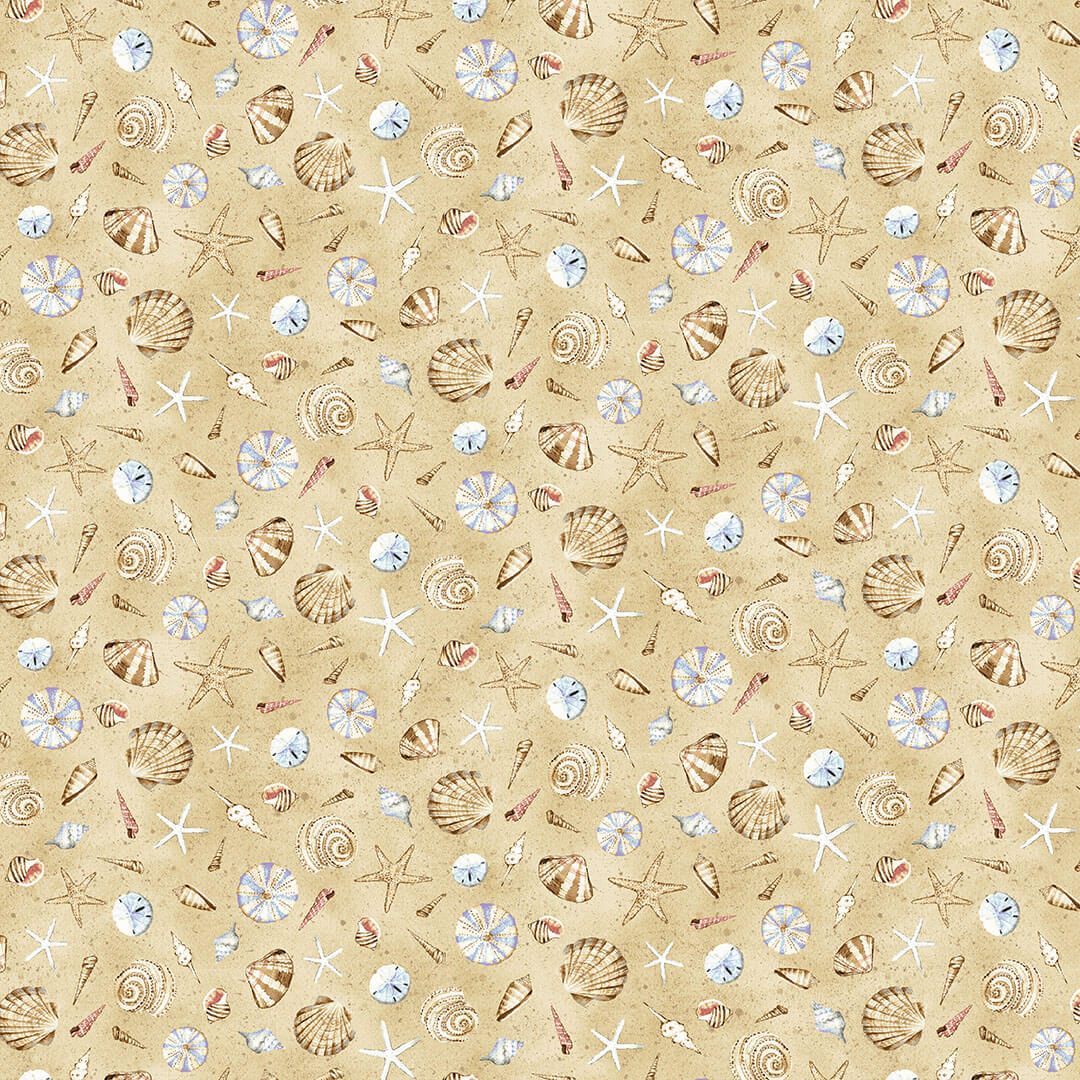 Beach Bound - Tossed Seashells - sand